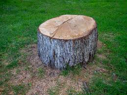 Best Tree Mulching  in Preston Heights, IL